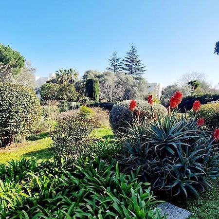 Studio Antibes Avec Piscine Екстериор снимка